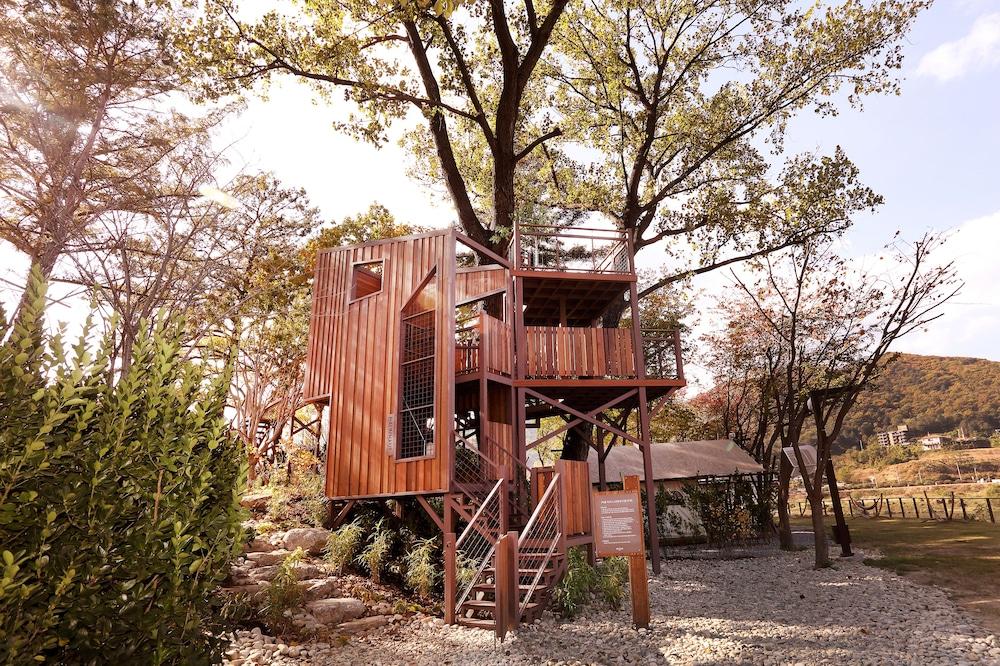 Midas Hotel & Resort Gapyeong Dış mekan fotoğraf